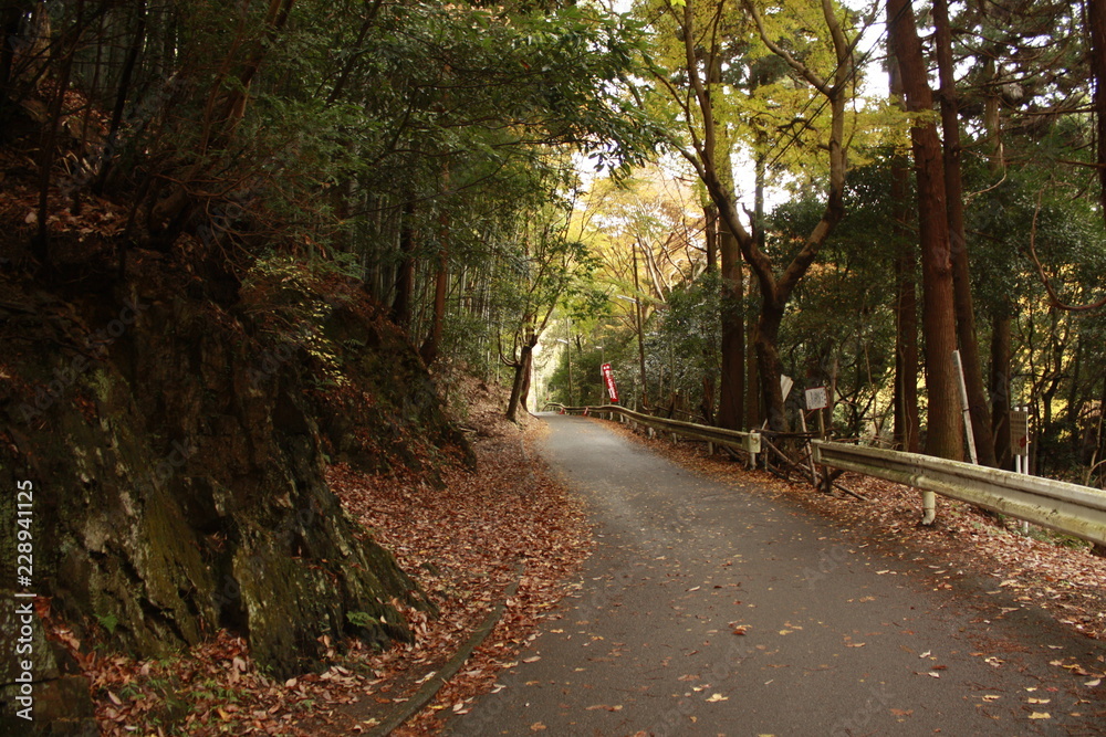 beautiful autumn beautiful autumn