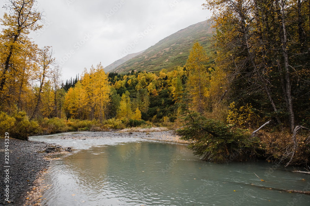 autumn landscape with river and trees autumn landscape with river and trees