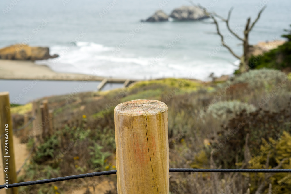 Fototapeta premium The view in Lands End, San Francisco. summer , cloud , rock , plant, sea