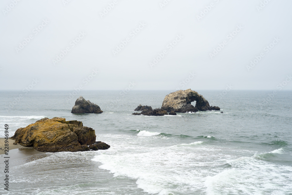 The view in Lands End, San Francisco. summer , cloud , rock , plant, sea