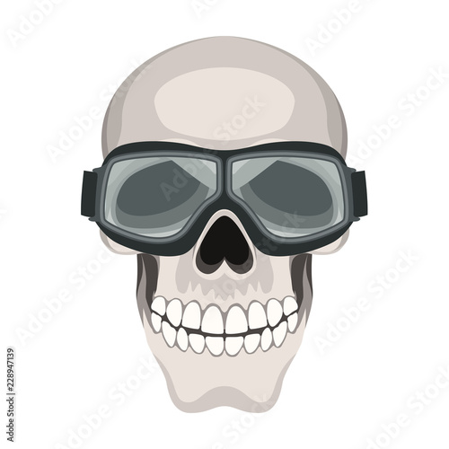  skull vector illustration flat style front side