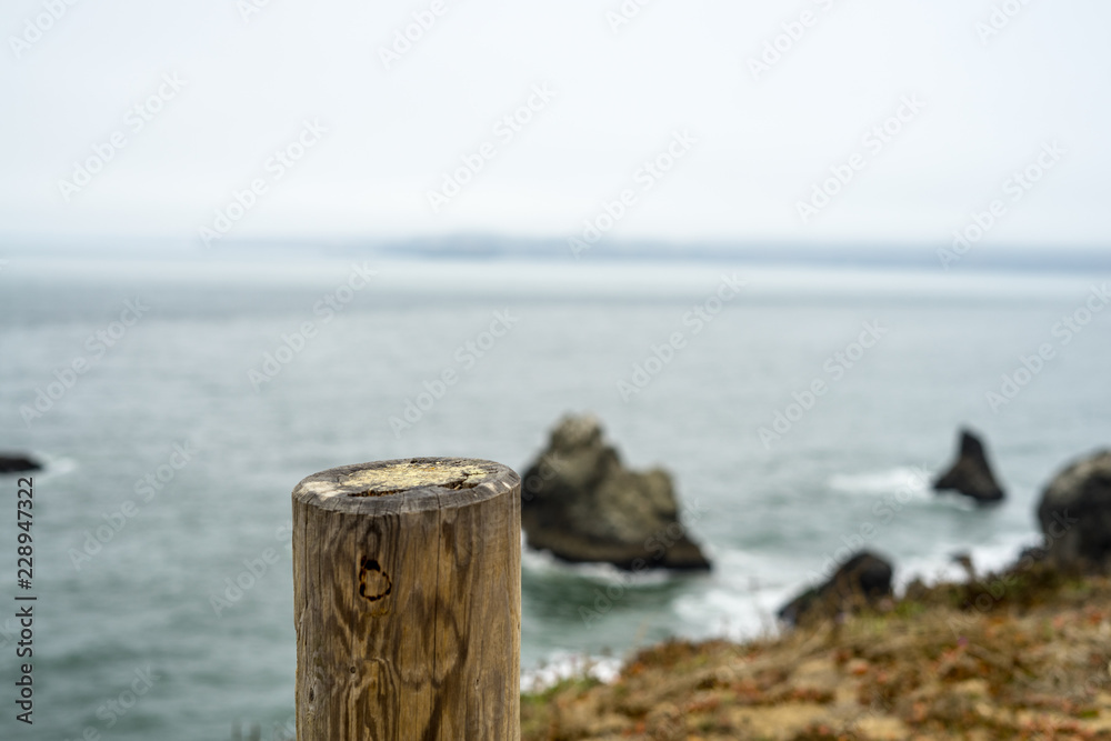 The view in Lands End, San Francisco. summer , cloud , rock , plant, sea The view in Lands End, San Francisco. summer , cloud , rock , plant, sea