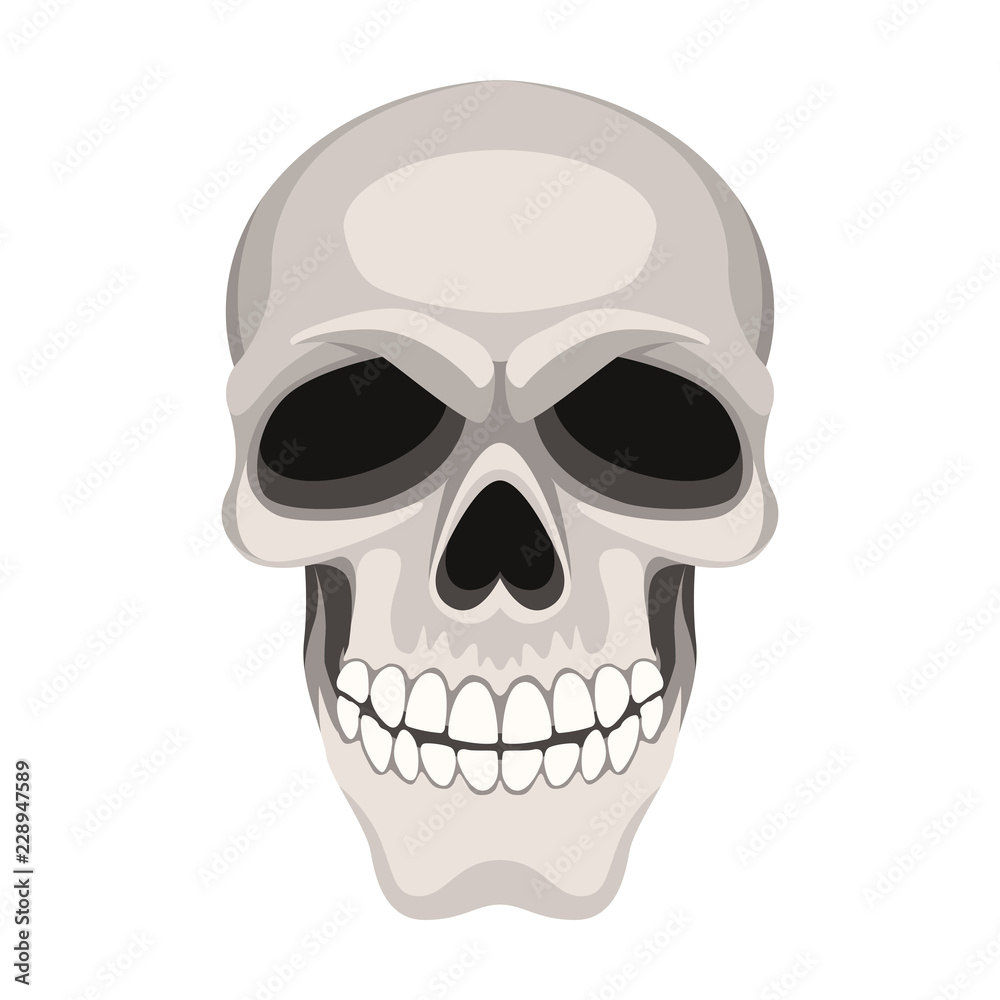 skull vector illustration flat style front side skull vector illustration flat style front side