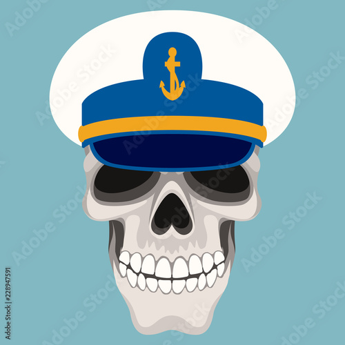  skull vector illustration flat style front side