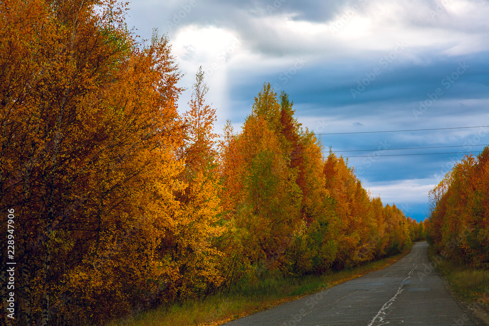 Old asphalt road along the autumn forest