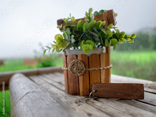 wooden keychain and small tree pot on table photo