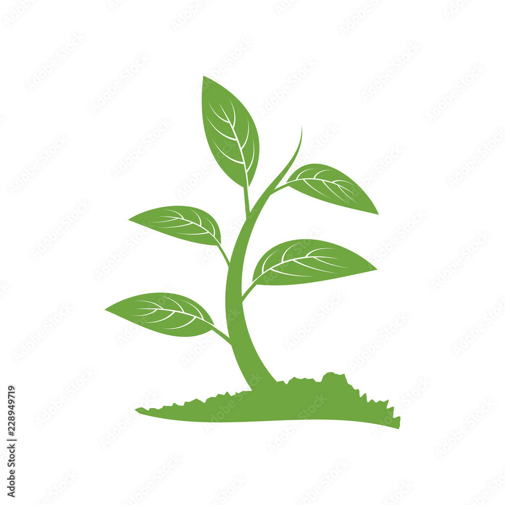 Green tree logo icon design template vector illustration Green tree logo icon design template vector illustration