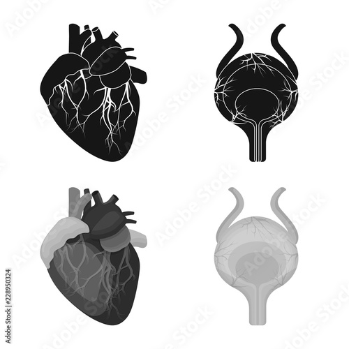 Isolated object of body and human icon. Set of body and medical stock vector illustration.