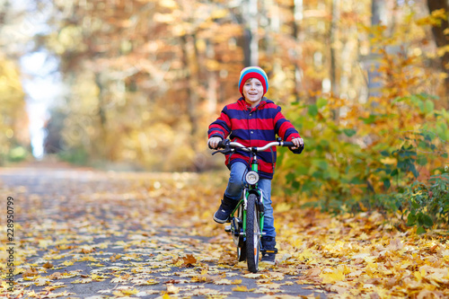 Little kid boy in colorful warm clothes in autumn forest park driving a bicycle. Active child cycling on sunny fall day in nature. Safety, sports, leisure with kids concept