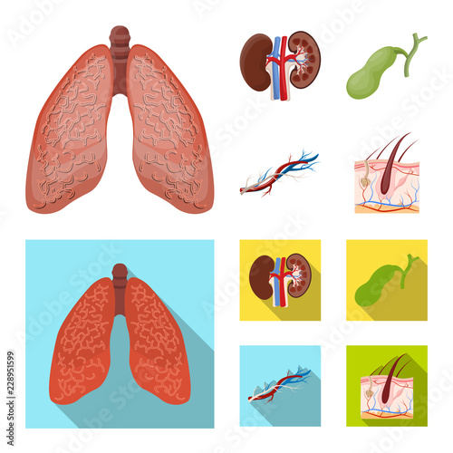 Isolated object of body and human icon. Set of body and medical stock symbol for web.