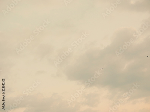 Wallpaper Mural Background of light orange evening sky with clouds and little birds flying back to their nests Torontodigital.ca