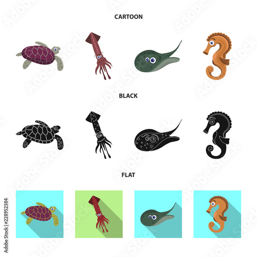 Vector design of sea and animal sign. Collection of sea and marine stock vector illustration.