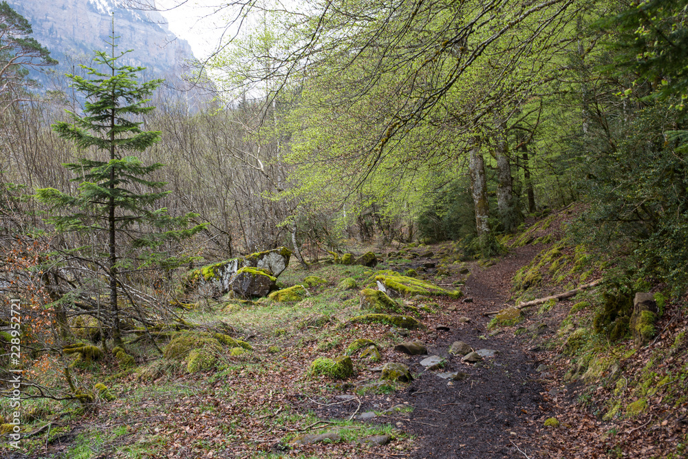 Obraz premium Parque nacional de Ordesa y Monte Perdido