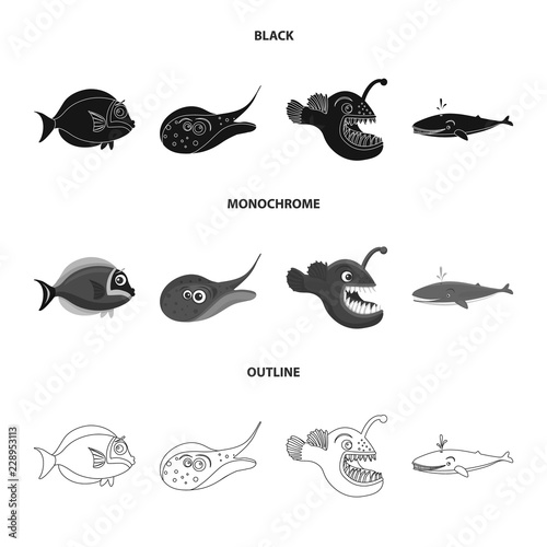 Isolated object of sea and animal sign. Collection of sea and marine stock vector illustration.