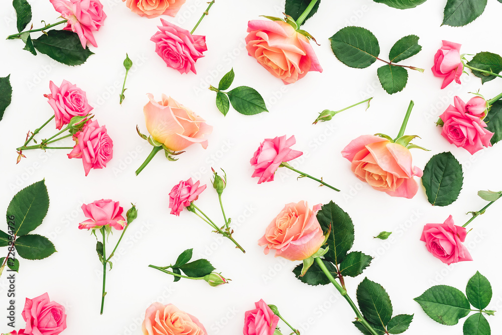 Floral pattern of roses flowers, petals and leaves isolated on white background. Flat lay, top view. Floral pattern of roses flowers, petals and leaves isolated on white background. Flat lay, top view.