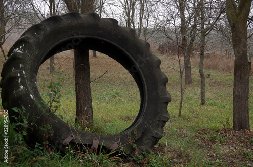 The Giant Of Tires