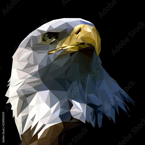 Eagle triangles low poly art vector