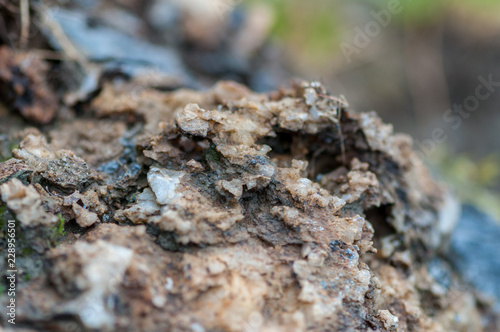 Close-up of rocks, salt and minerals. Shallow depth of field.