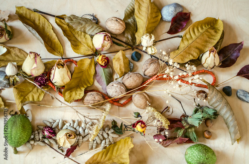 Gentle autumn background of yellowed leaves with coral beads,nuts, dried rose buds and stones spread on light plywood

