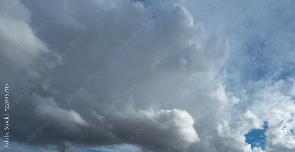 Obraz premium OLYMPUS DIGITAL CAMERA