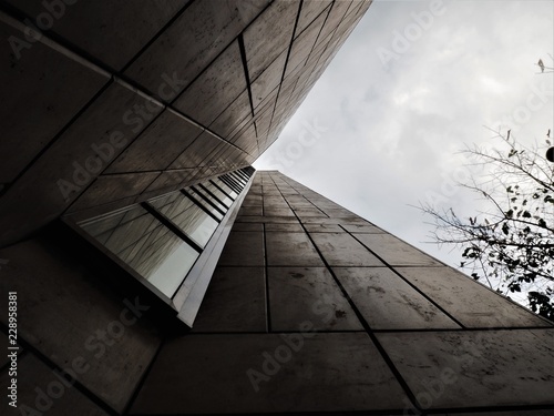 A grey scyscraper on a moody day in touch with a tree