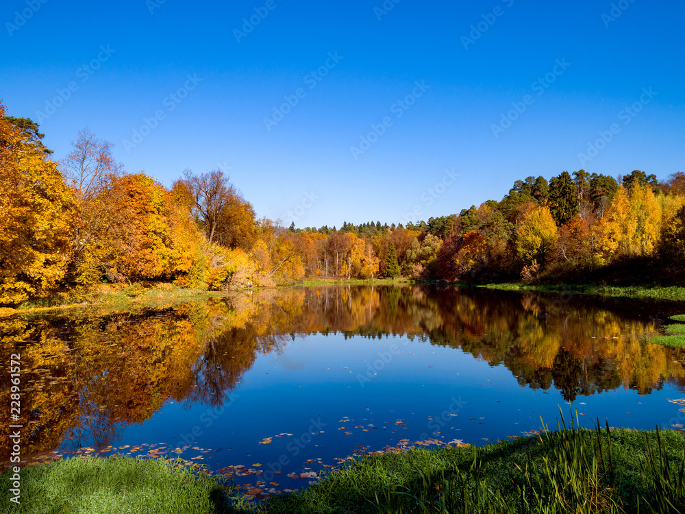 Colorful autumn forest wood on the lake