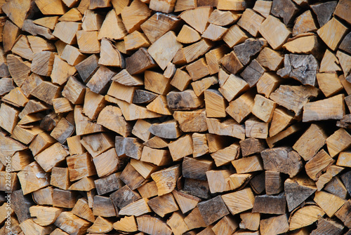 Firewood piled up for winter
