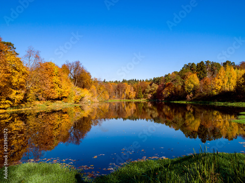 Colorful autumn forest wood on the lake © Andrei Armiagov