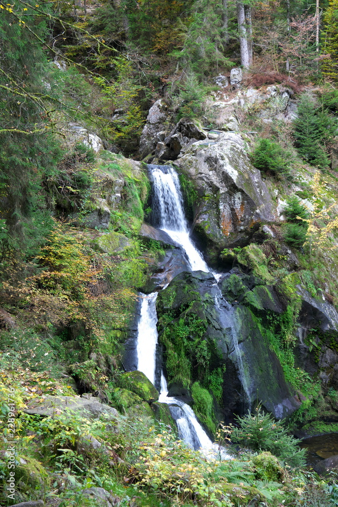 TBaden-Wurttemberg, Germany-October 12, 2018: Triberger Waterfall, the highest waterfall in Germany, in Black Forest TBaden-Wurttemberg, Germany-October 12, 2018: Triberger Waterfall, the highest waterfall in Germany, in Black Forest