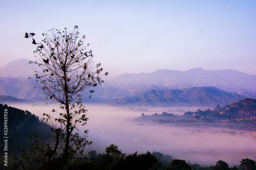 Village land covered by fog