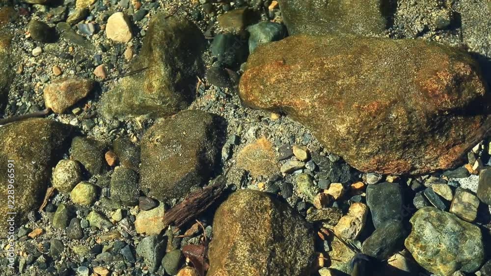 Top down view of river botom through clear cold water near Lake Tahoe Top down view of river botom through clear cold water near Lake Tahoe