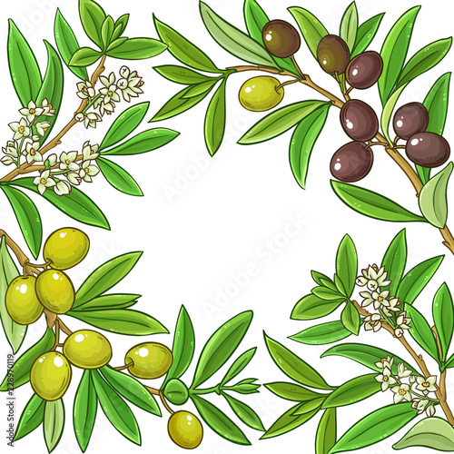 olive vector frame
