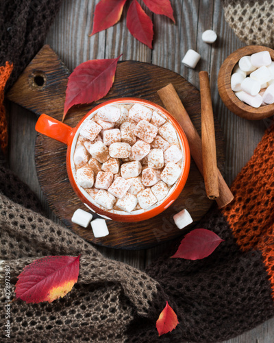 Cocoa in an orange cup with marshmallows
