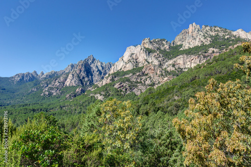 Paysages de Corse-Le barrage de l Ospedale vers Porto-vecchio photo