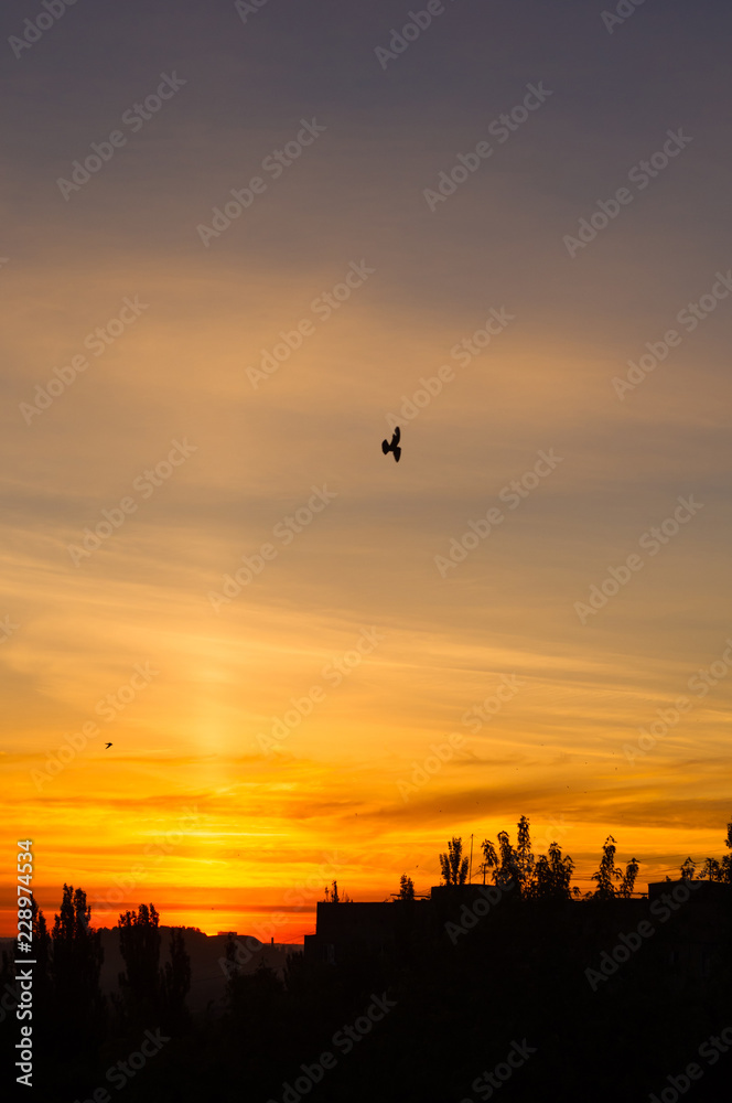 Fototapeta premium Landscape with dramatic light - beautiful golden sunset with saturated sky and clouds.