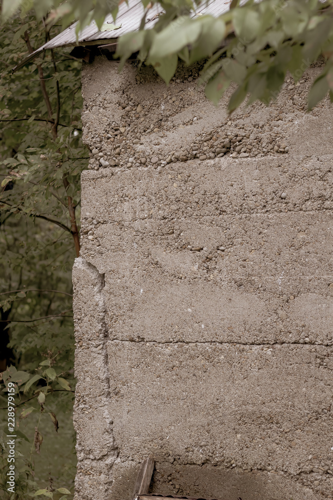Close up of the cement wall of an old building in a forest.