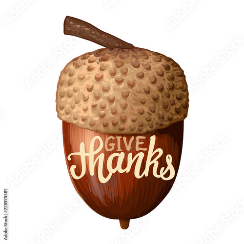Happy Thanksgiving acorn on white background with calligraphy quotes Vector illustration