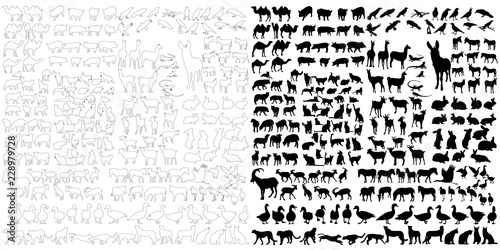 Fototapeta Naklejka Na Ścianę i Meble -  silhouette of wild and domestic animals, set