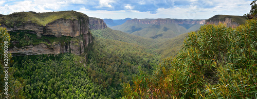 Photography Blue Mountains National Park Australien