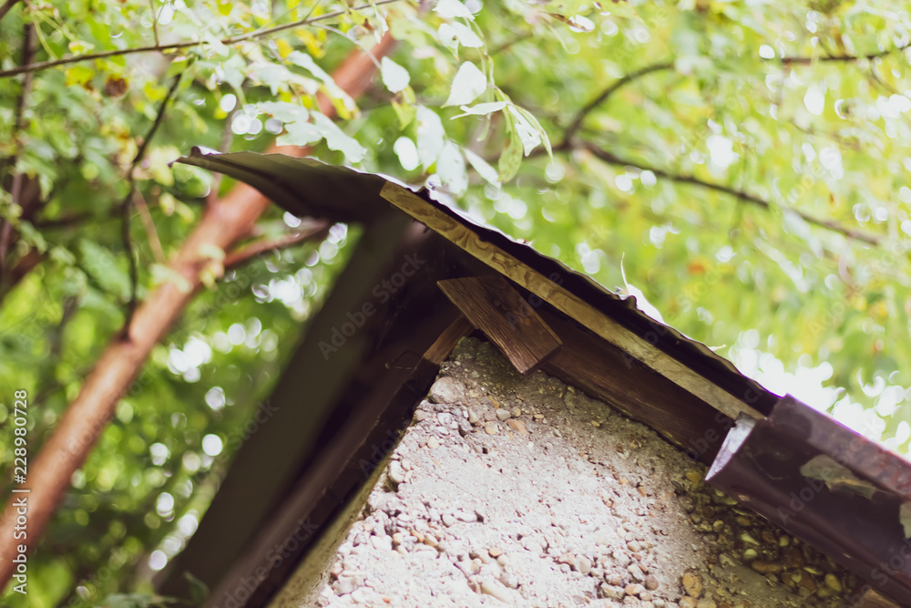 The corner of a flat roof on an old concrete building in a forest in Ontario, Canada