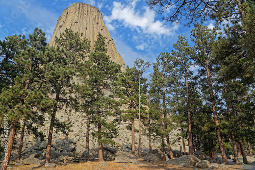 Devils Tower summit seen through the trees photo