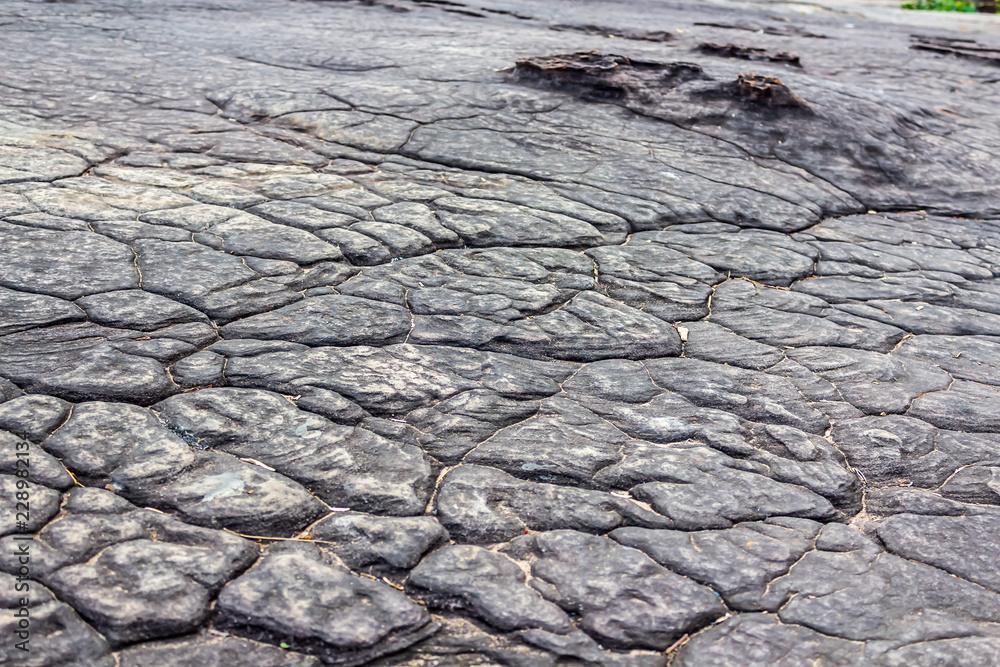 The mountain top texture at Phu Foi Lom, Udon Thani Provice, Thailand resembling elephant skin.