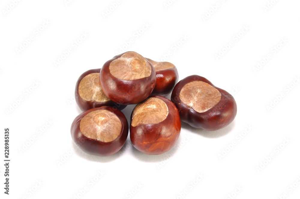 Ripe chestnuts on white background close-up Ripe chestnuts on white background close-up