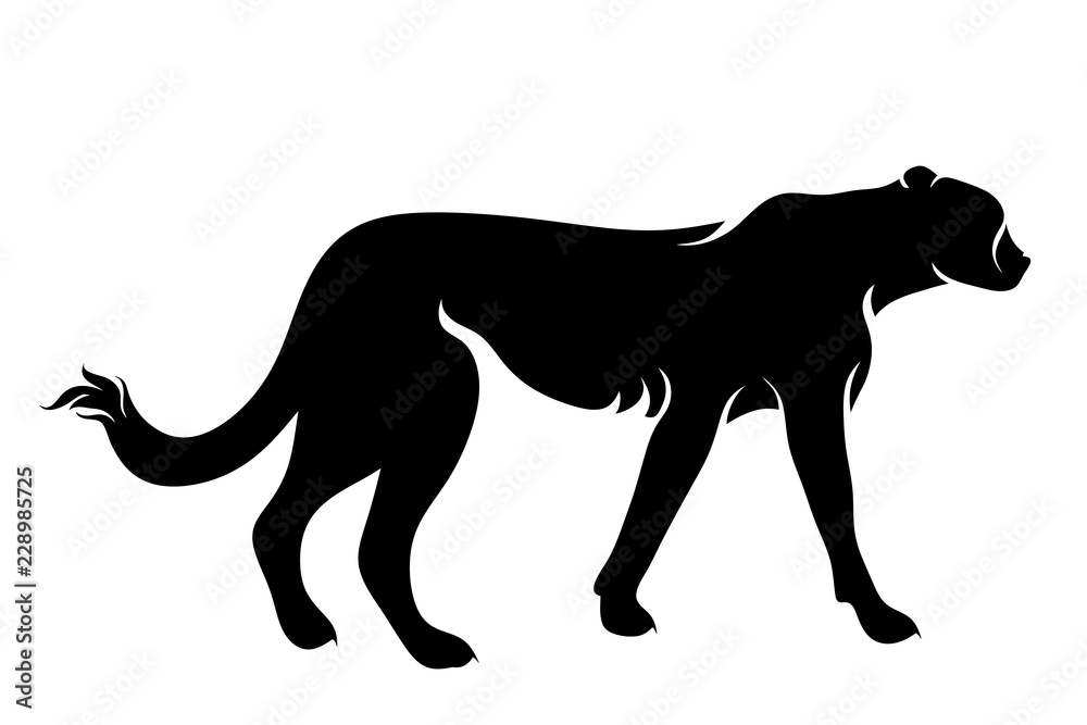 Vector silhouette of cheetah on white background.