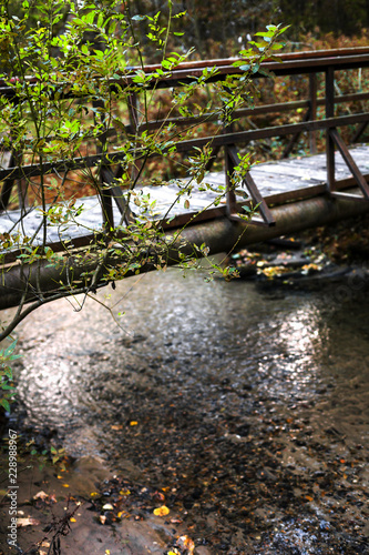 Fototapeta Naklejka Na Ścianę i Meble -  Wooden bridge in the forest, autumn season