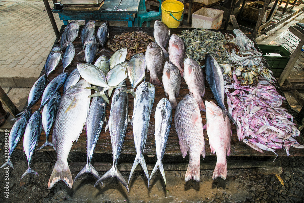 Various freshly caught fish at wooden counter on Weligama market , Sri Lanka.