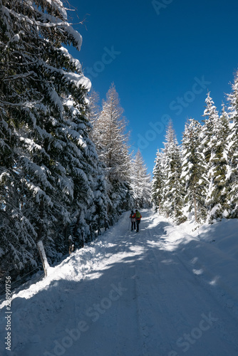 Fototapeta Naklejka Na Ścianę i Meble -  Winter in Südtirol