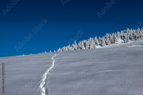 Winter in Südtirol