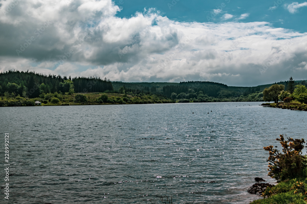 A lake in Dartmoor National Park