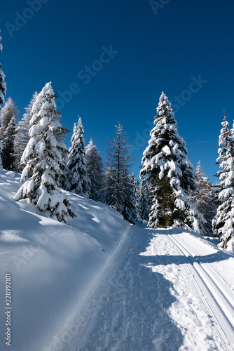 Winter in Südtirol